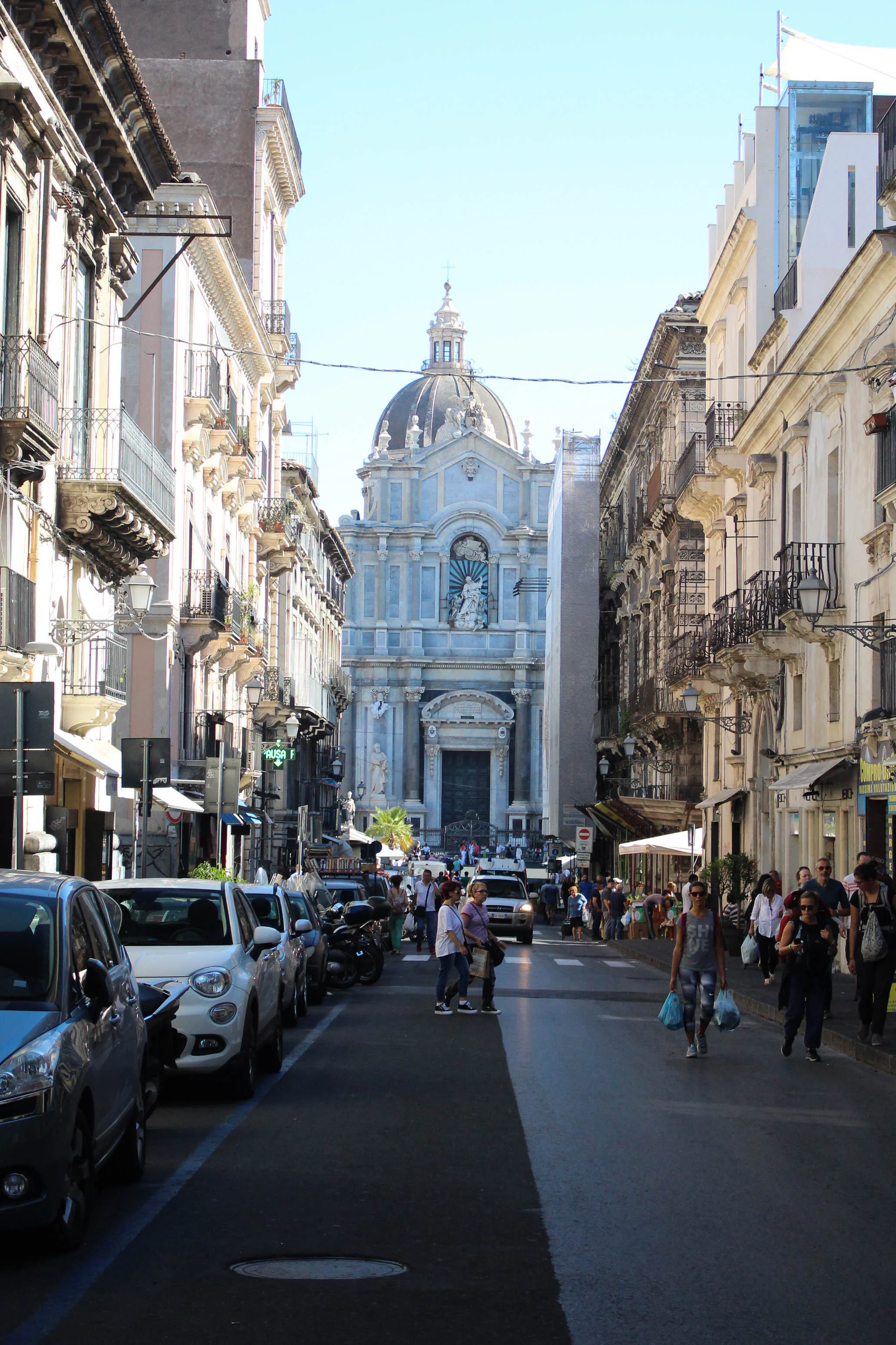 IMG-10.jpg