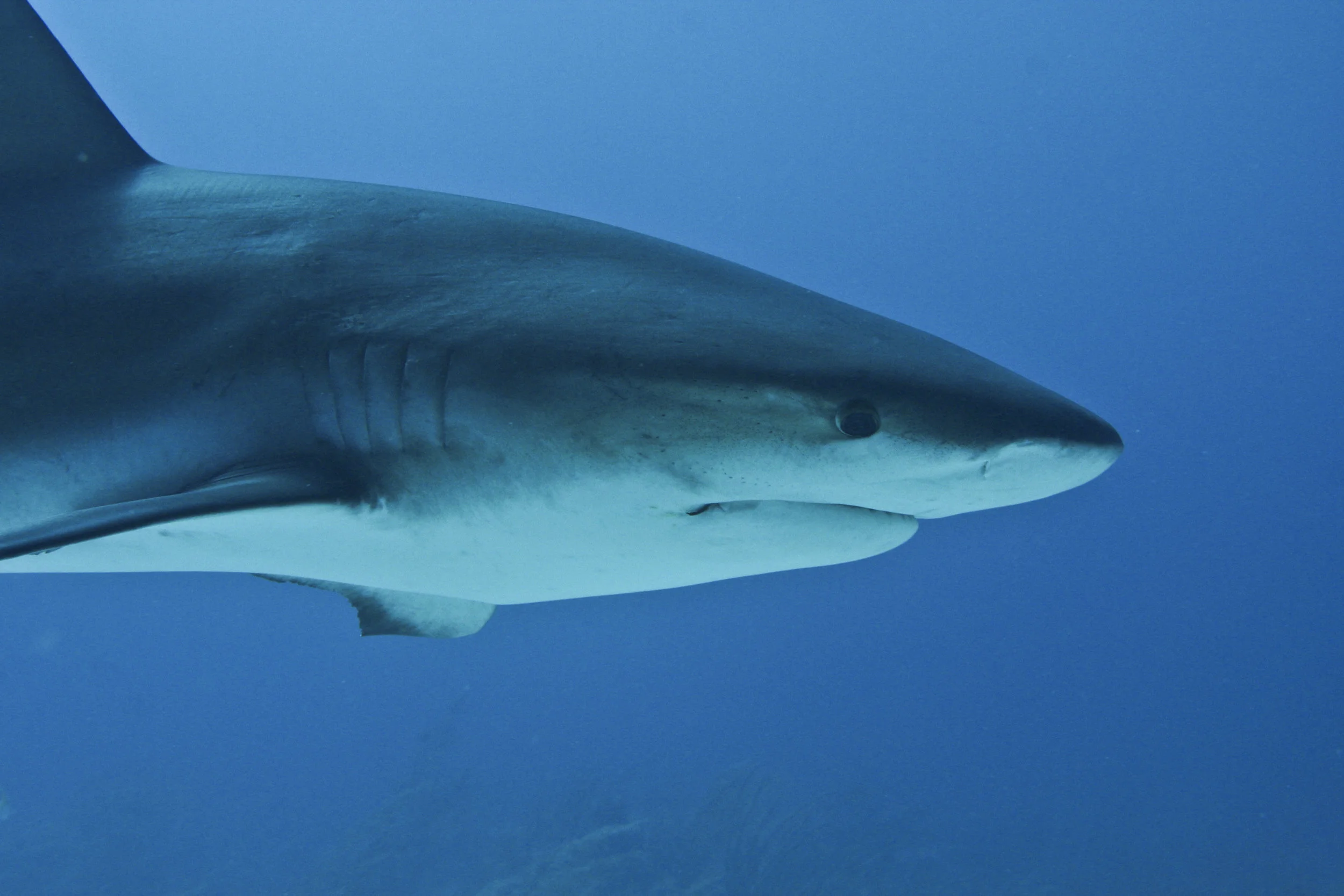 john p johnson_W_0007.JPG