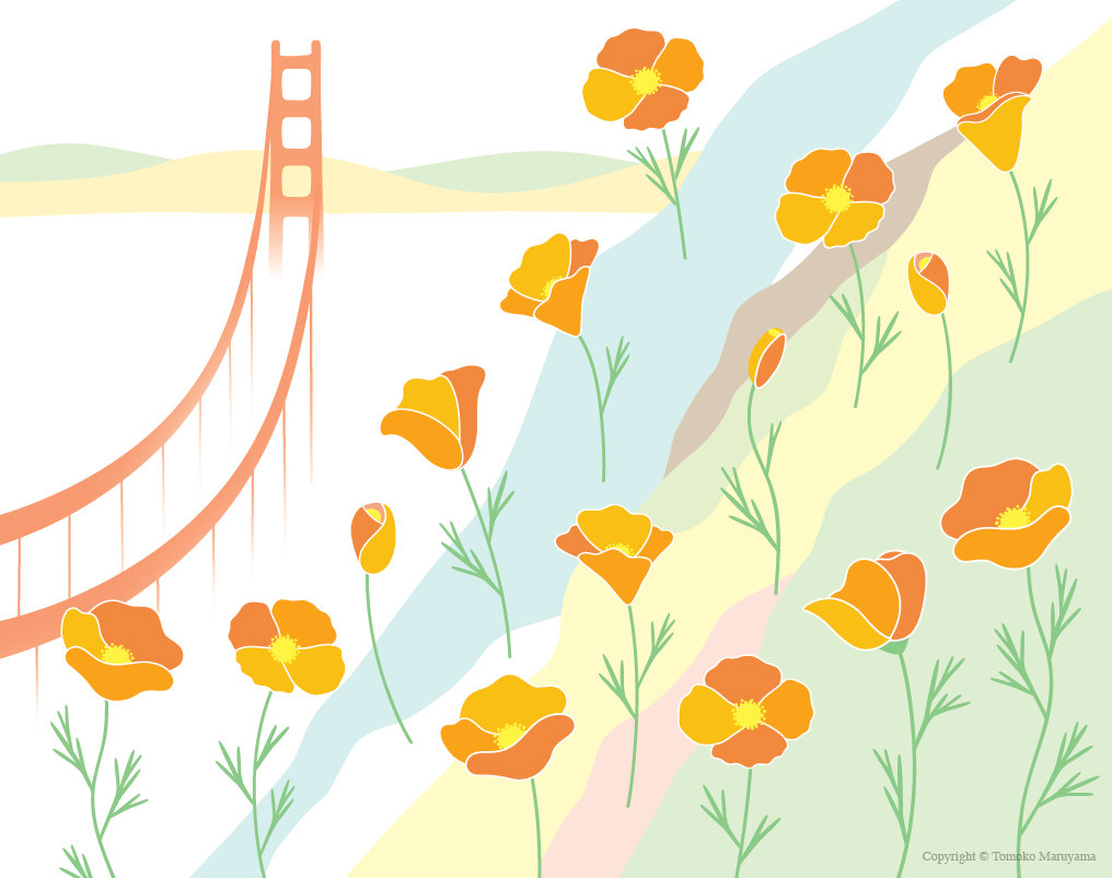 California Poppy .jpg