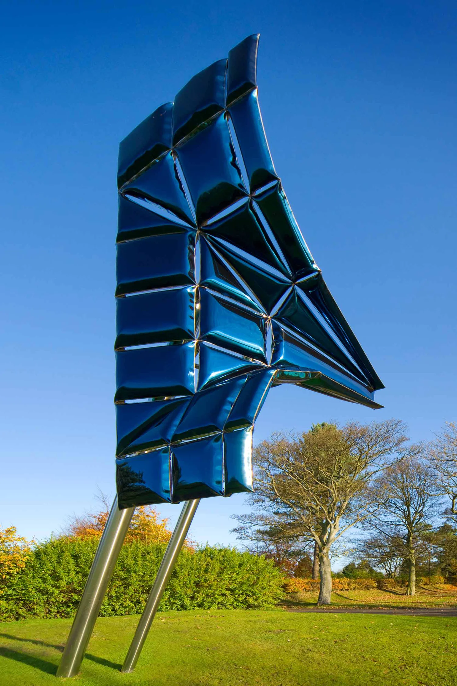 blue-plex-small-WEB.jpg