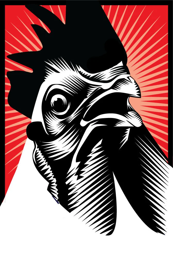 black-and-white-rooster-head2_headon_09_23.jpg