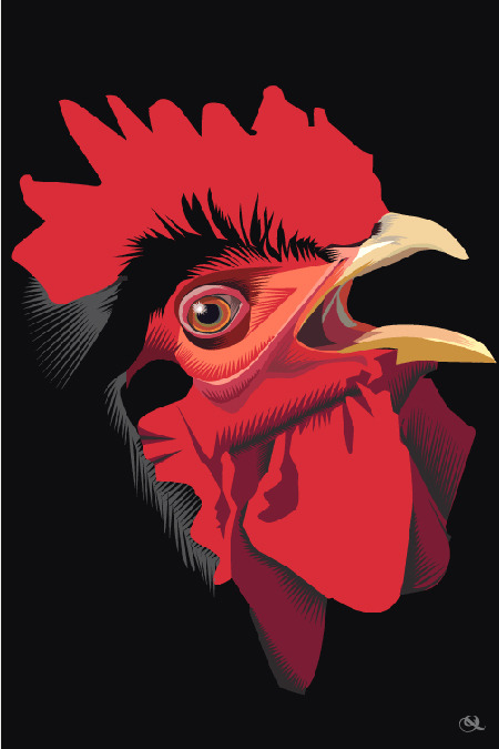 roosterhead.jpg