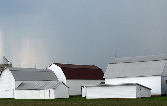 Agri Sheeler, Q. Cassetti, 2013, Interlaken, NY