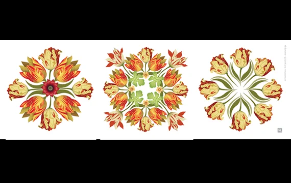 tulip2.jpg