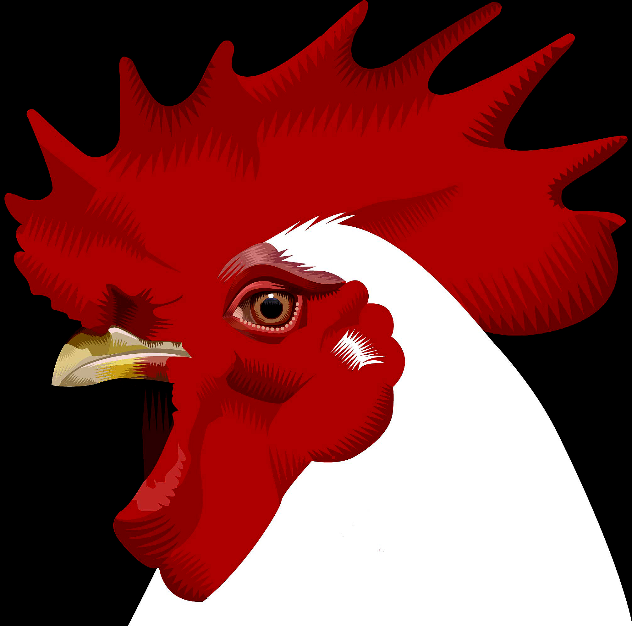 Chicken Q. Cassetti, 2015 Adobe Illustrator 2015