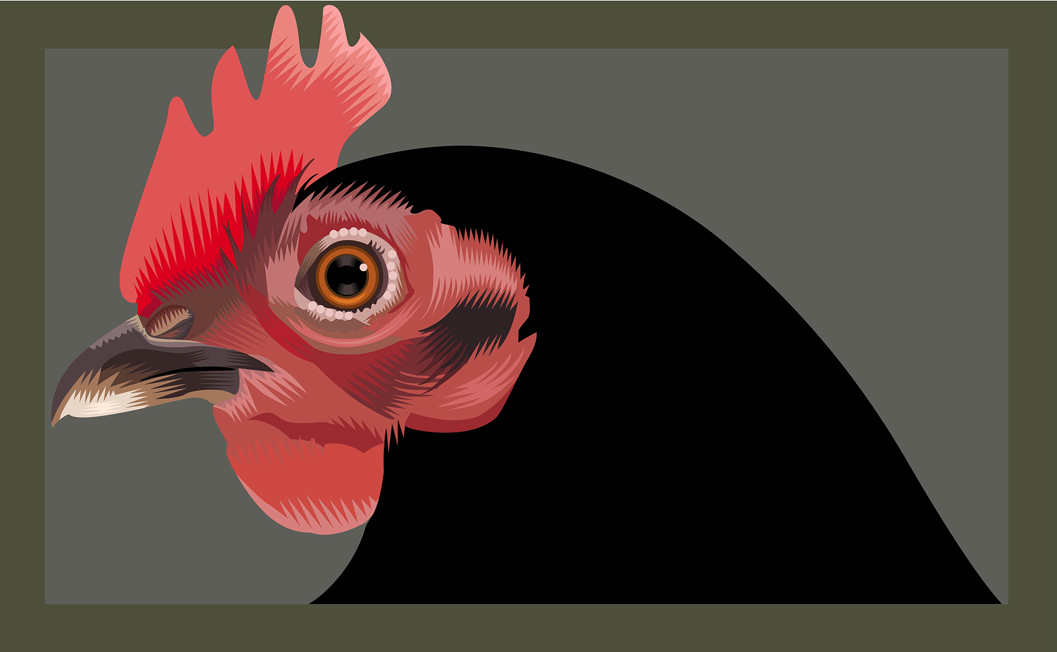 Gallina Q. Cassetti 2015 Adobe Illustrator 2015