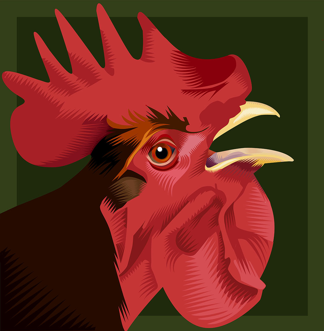 Something to Crow About Q. Cassetti 2015 Adobe Illustrator 2015