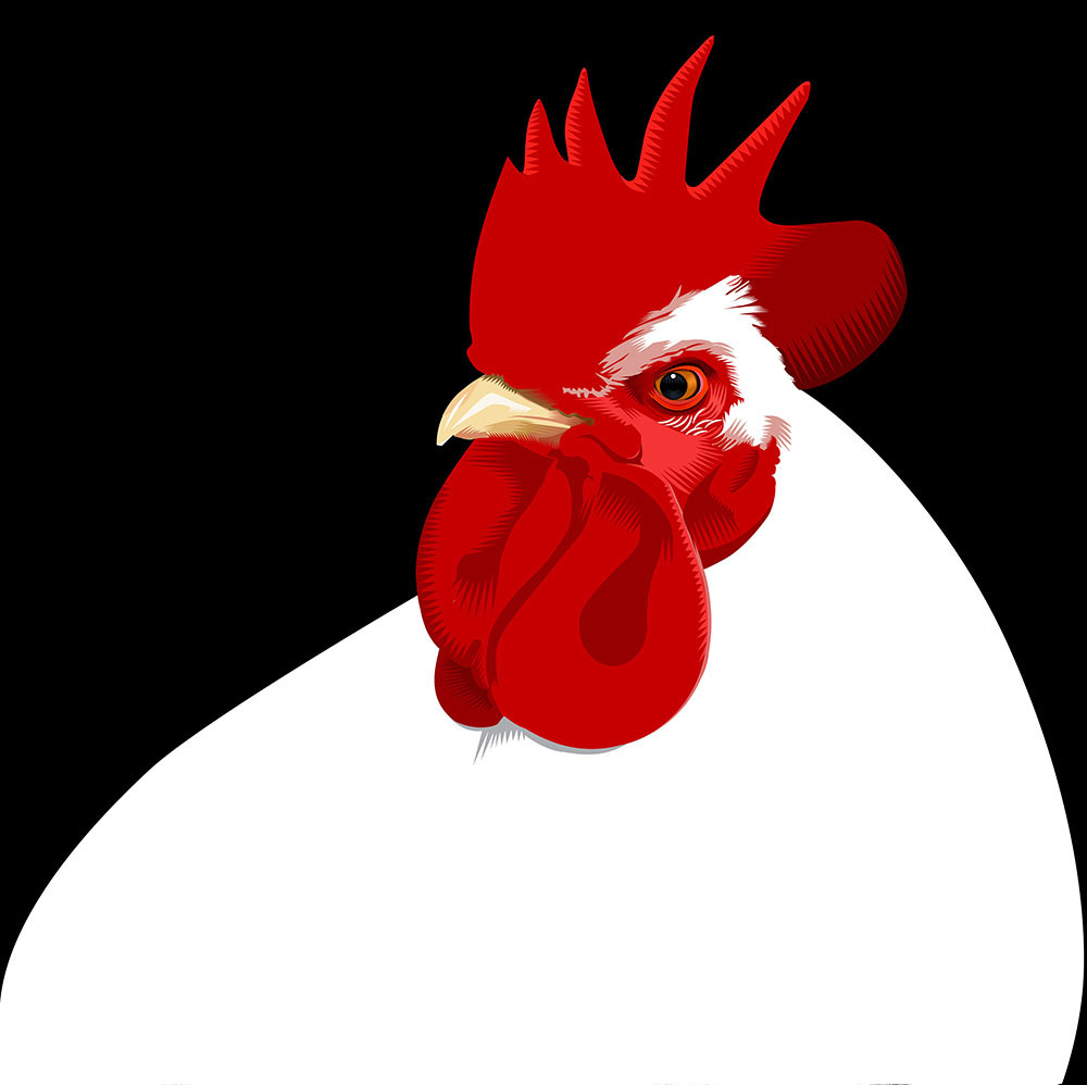 The Judge Q. Cassetti, 2015 Adobe Illustrator CC 2015