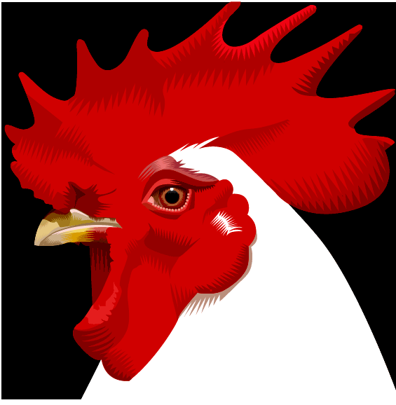 whitechicken.png