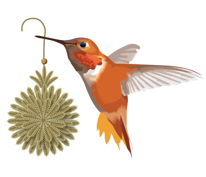 v2 hummingbird-01.jpg