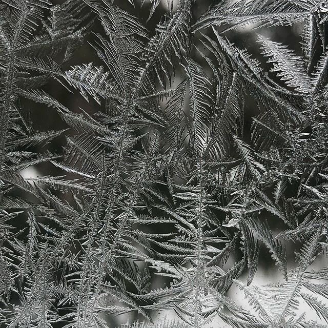 #frost #winter #windows