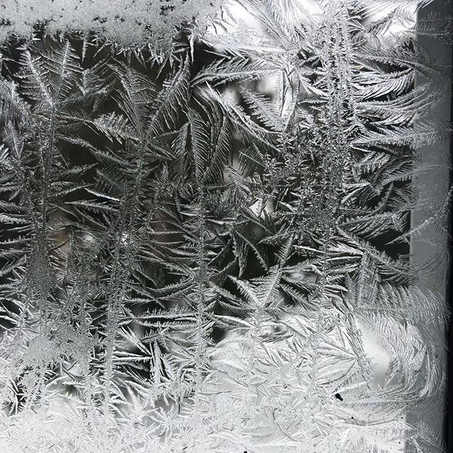 #frost #winter #windows