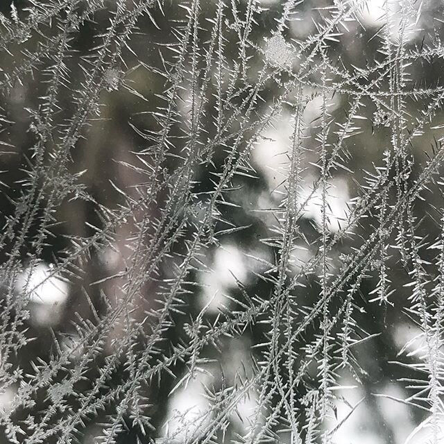 #frost #winter #windows