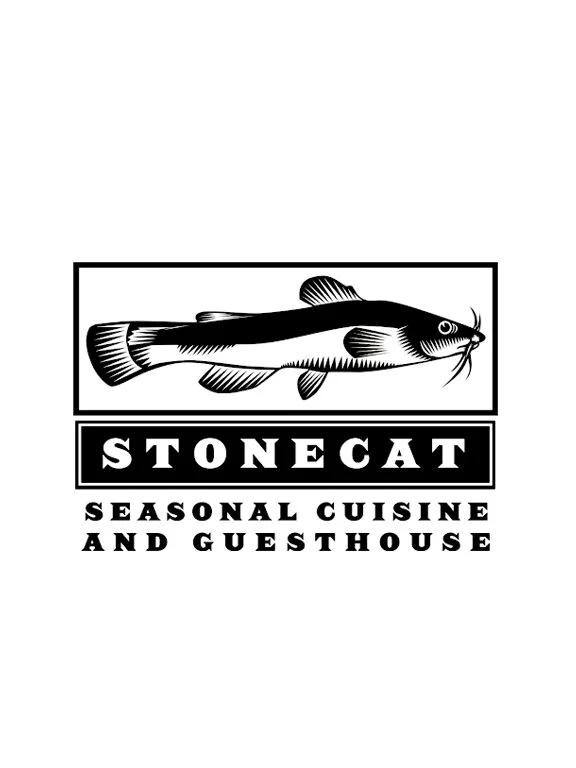 STONECAT.jpg