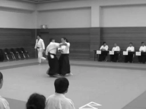 Aikido Kenshin-Kai's Embukai at Hokuso's 30th Anniversary Celebration 