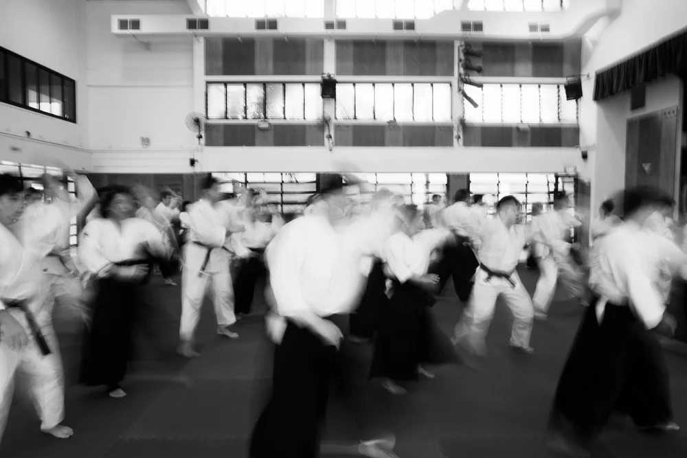 3rd Aiki-Friends Combined Training
