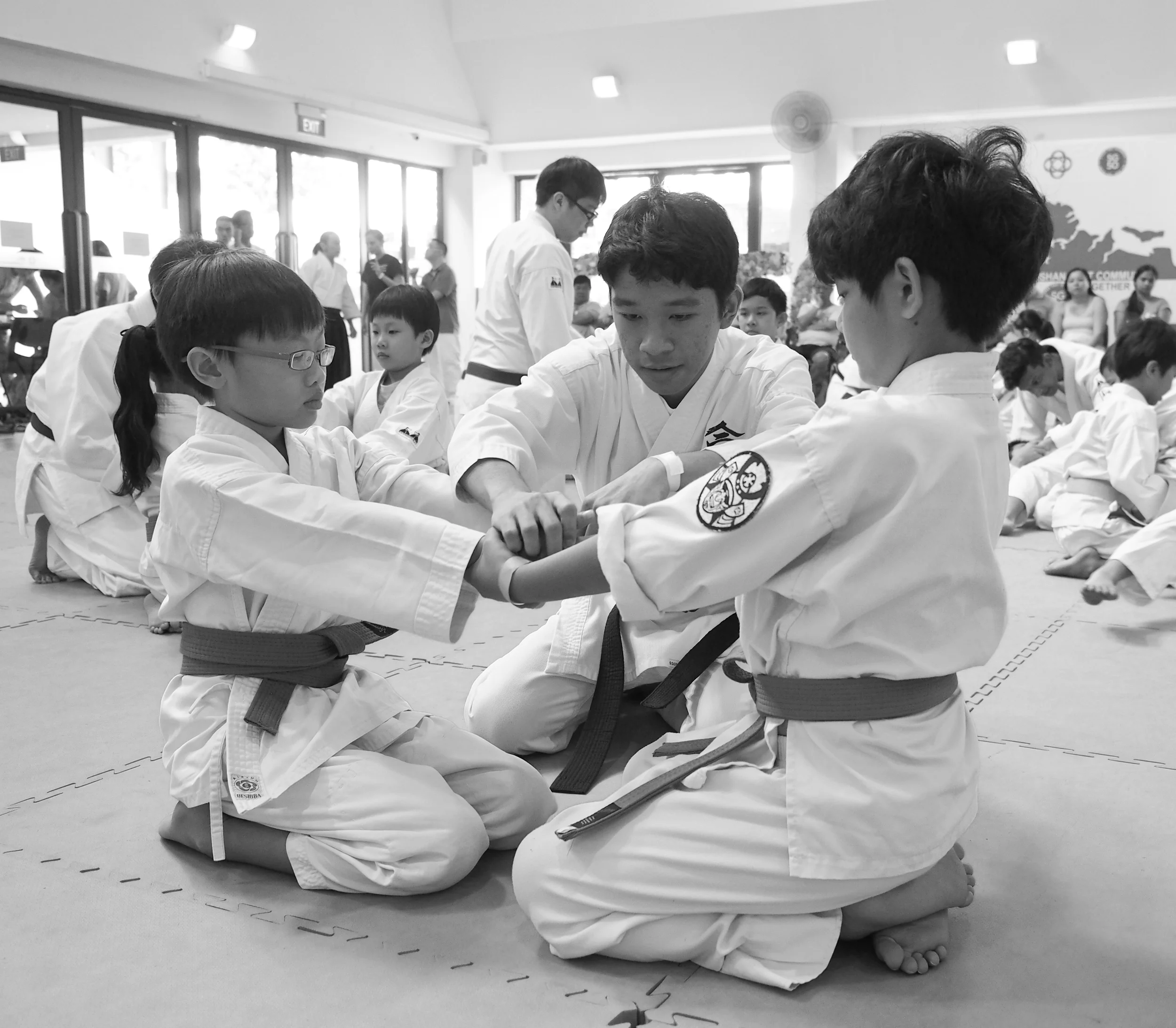 Aikido Kenshin-Kai - Singapore