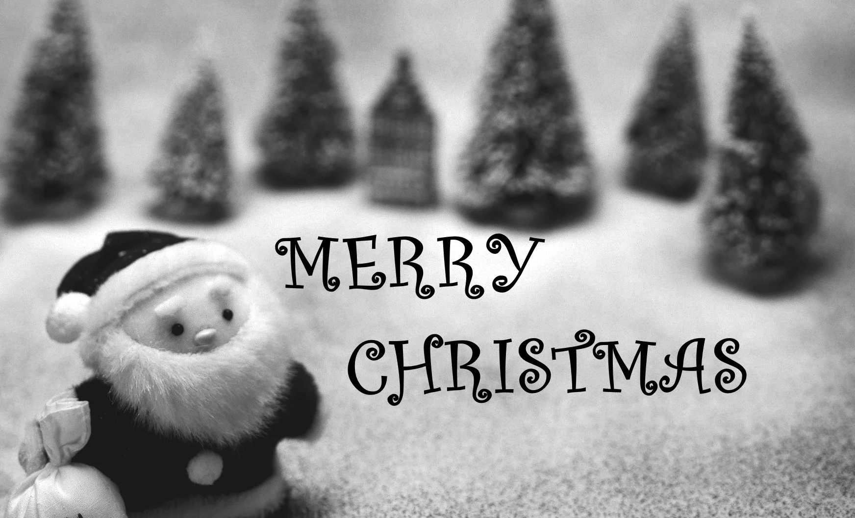 Have a Holly Jolly Christmas!