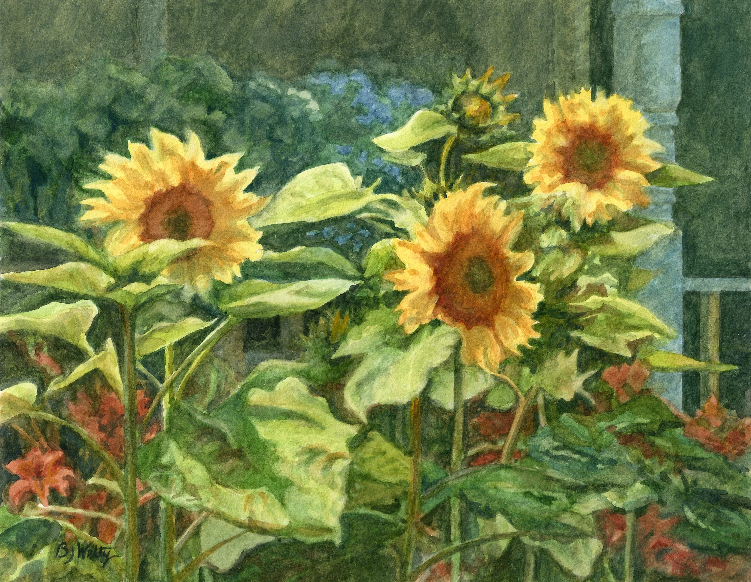 Small file RGB Boothbay Sunflowers.jpg
