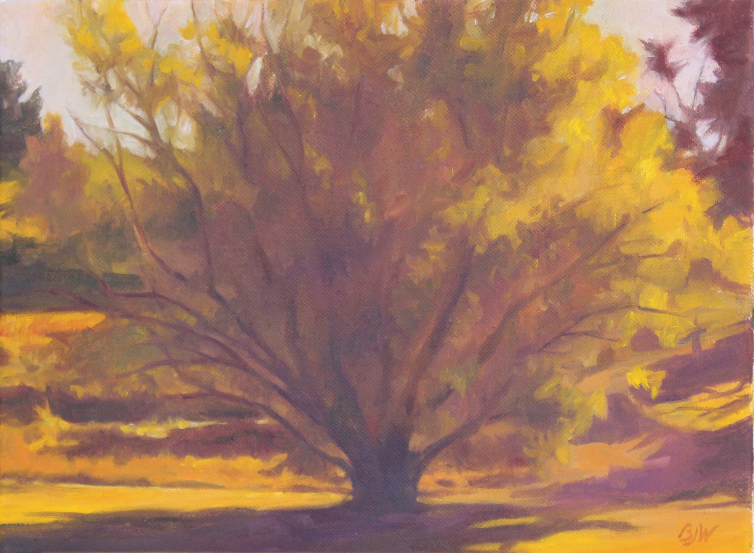 Lovely as a Tree.jpg