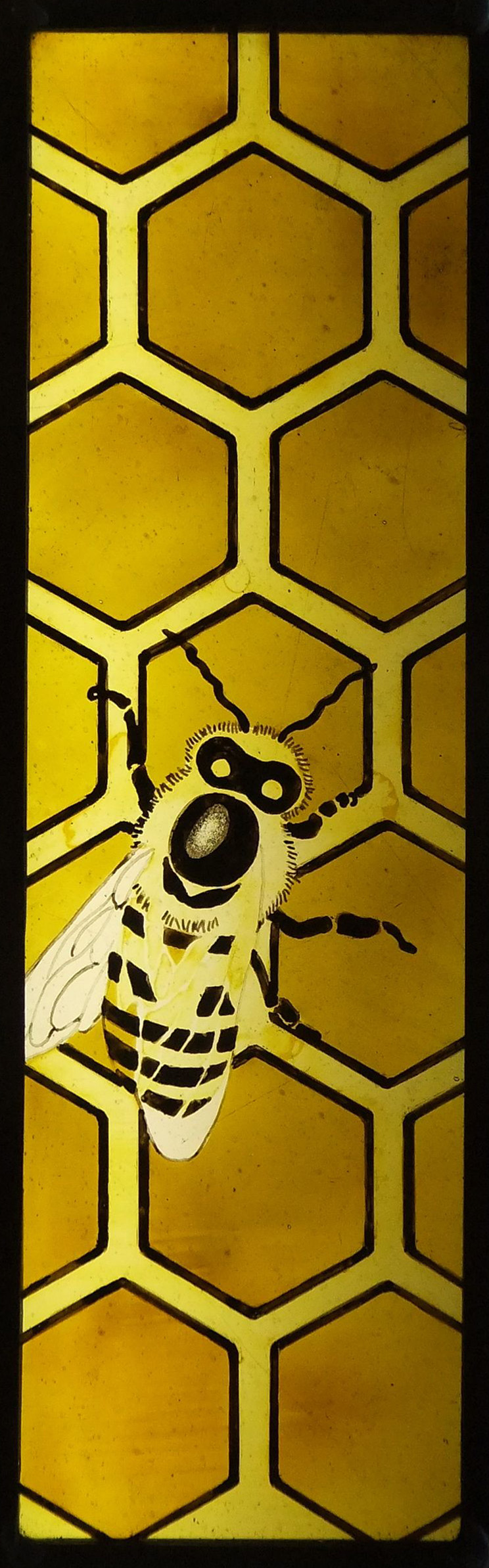 bee 1 sq.jpg