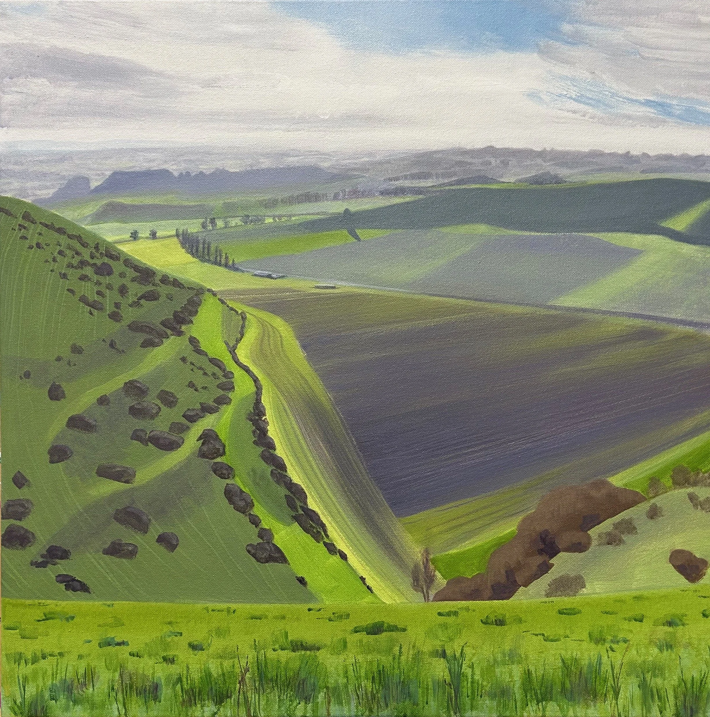 Looking towards Mere.jpeg