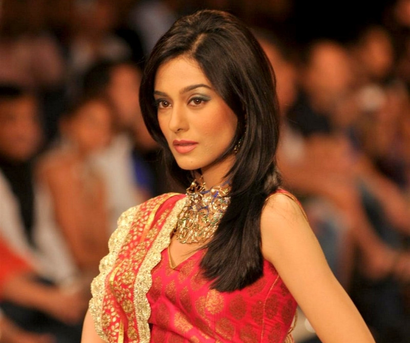 Amrita Rao will be seen as Amitabh Bachchan's daughter in law in Satyagraha