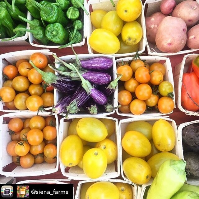 Siena Farms Summer and Peak-Season pickups in Southie start tomorrow! 🍅🥕🥦🍠🌽 Beautiful leafy greens, the first summer carrots, delicate new potatoes, fresh herbs, plump tomatoes, eggplant, peppers, and more.  Don&rsquo;t miss out, prorated shares