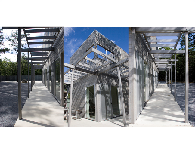 trellis.jpg