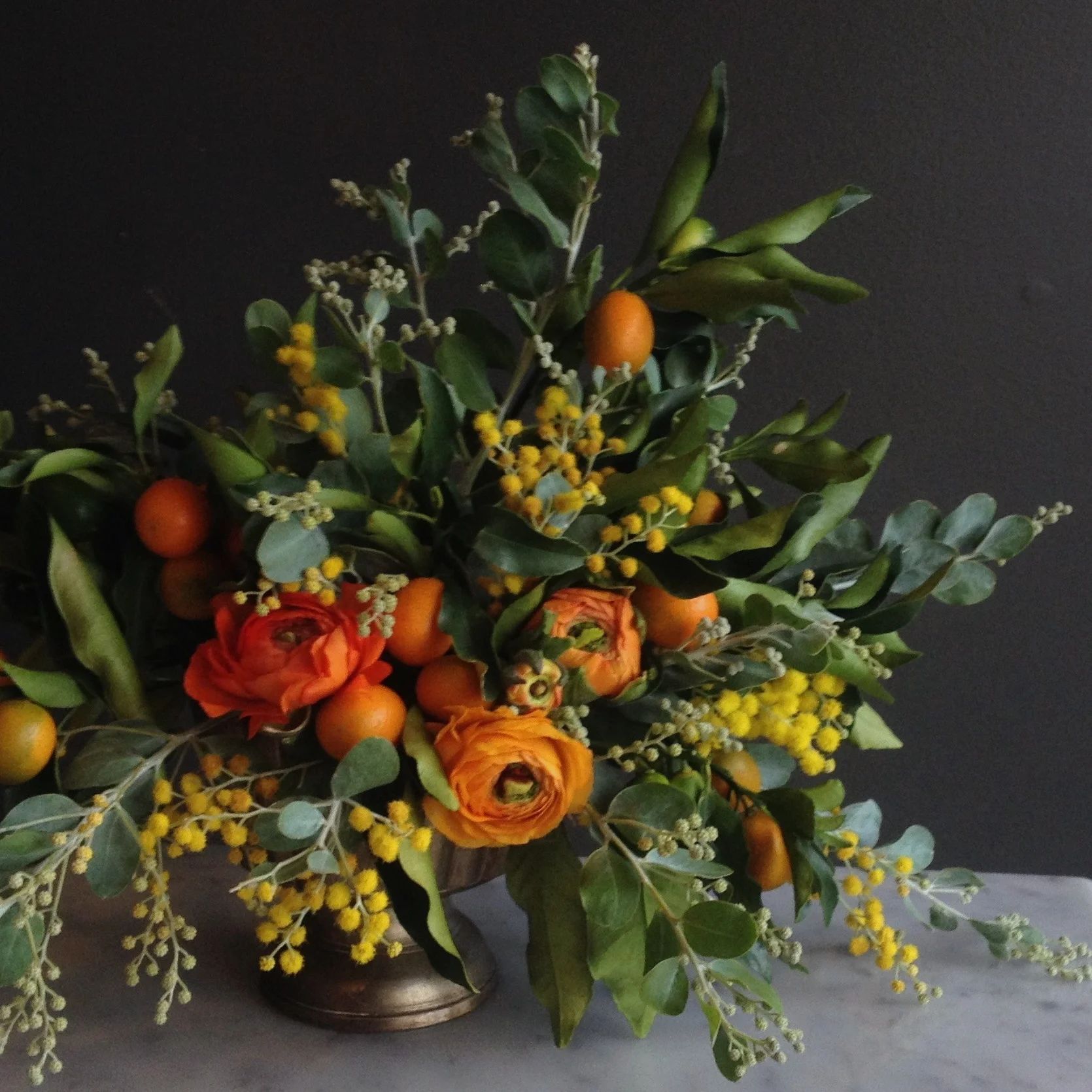 IMG_5489.jpg