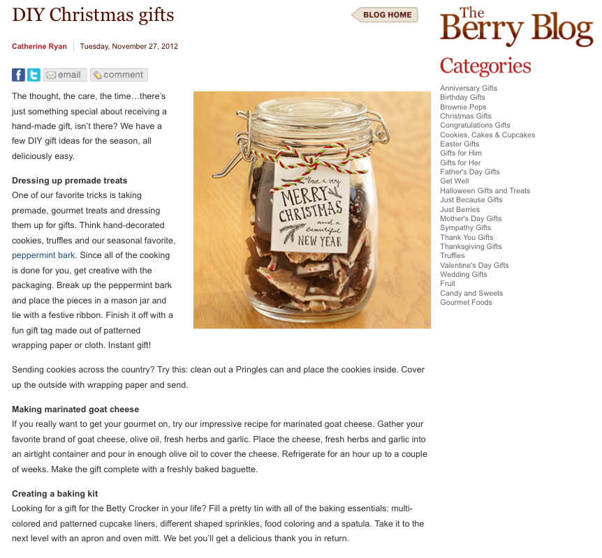 DIY Christmas gifts blog