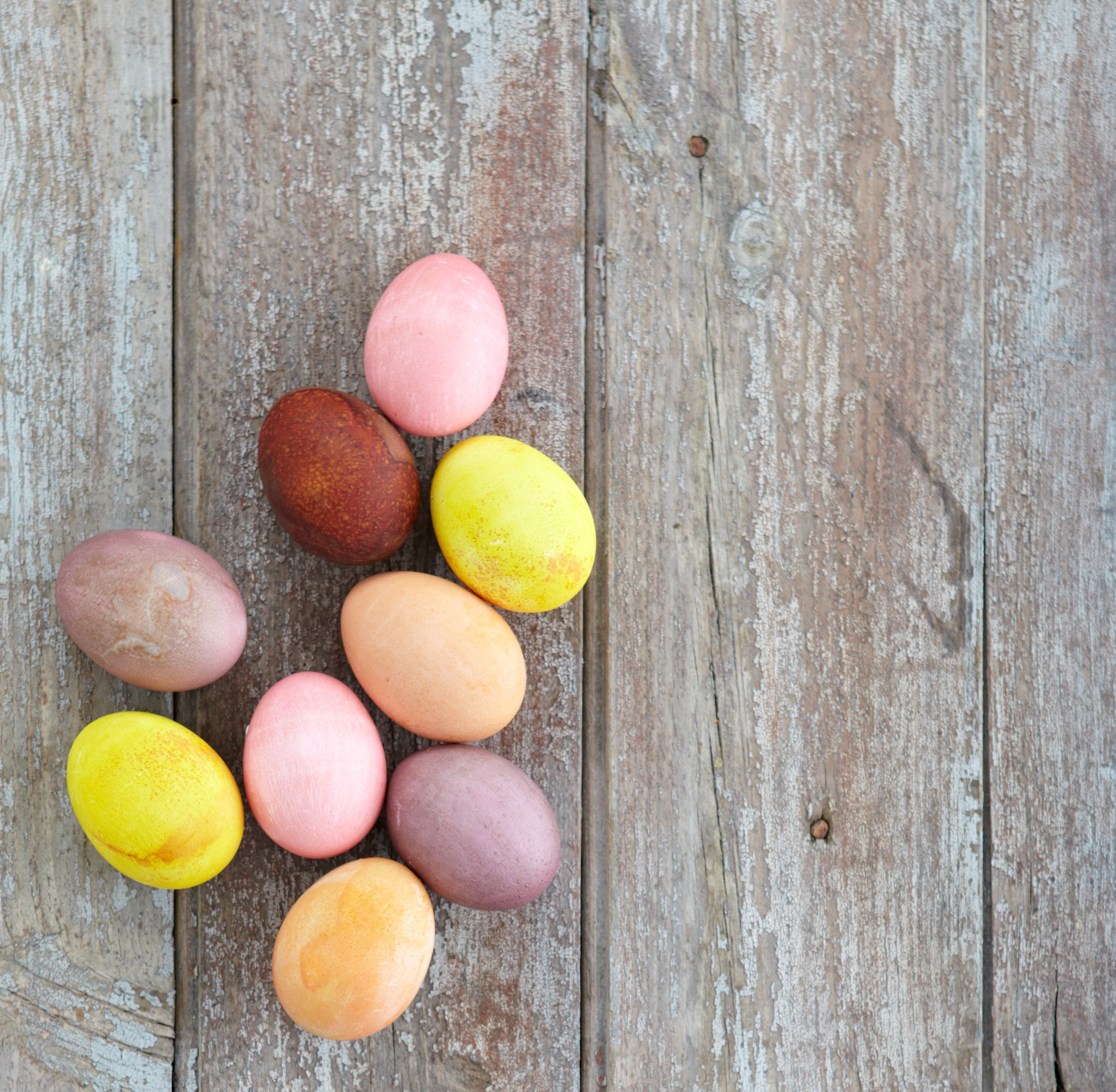 Easter photo shoot