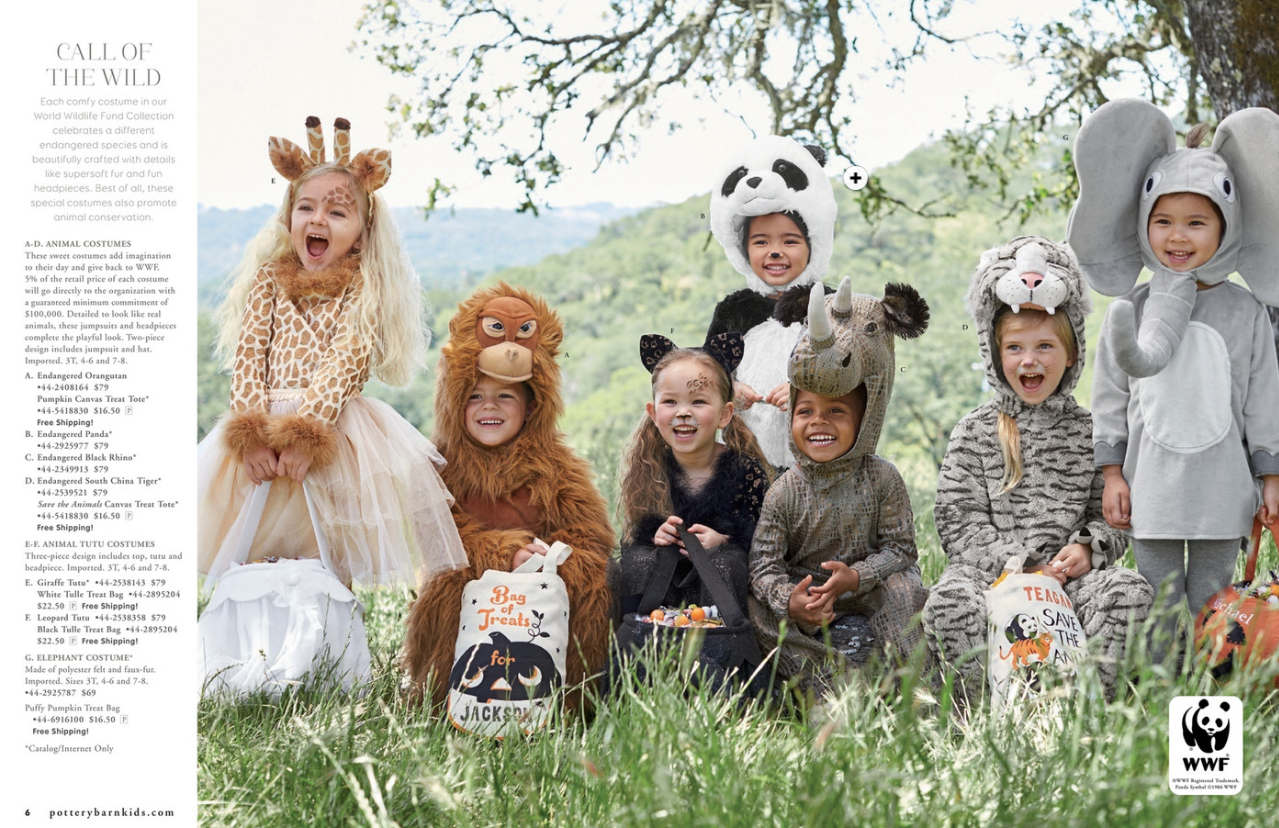Pottery Barn Kids Halloween catalog