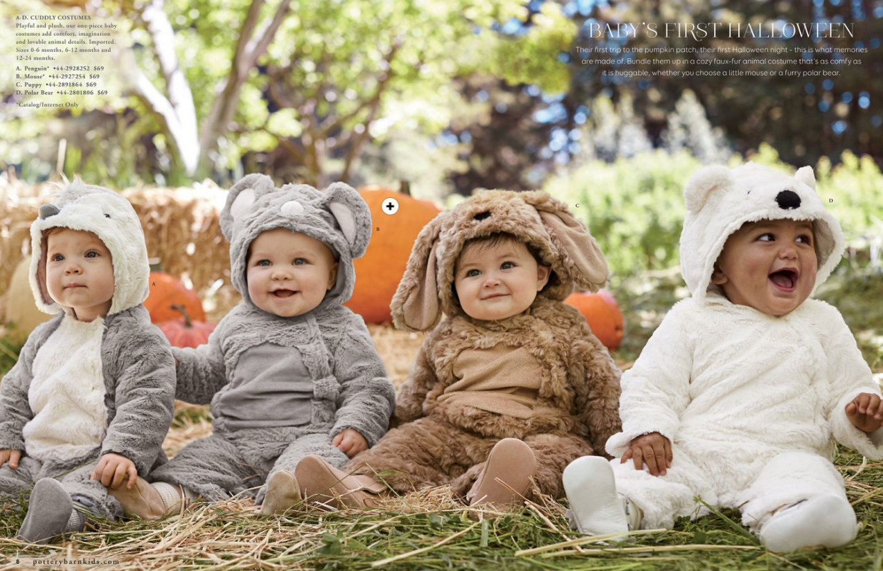 Pottery Barn Kids Halloween catalog