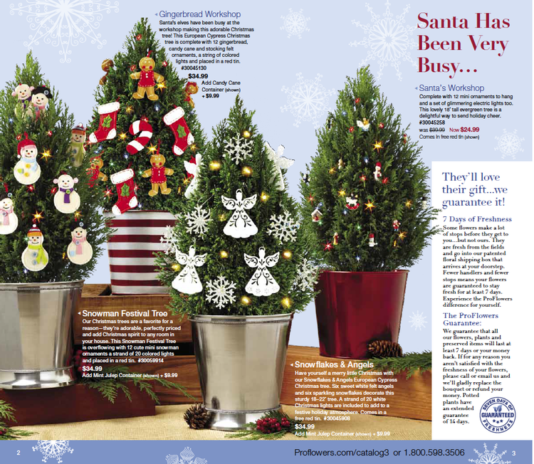 Holiday catalog