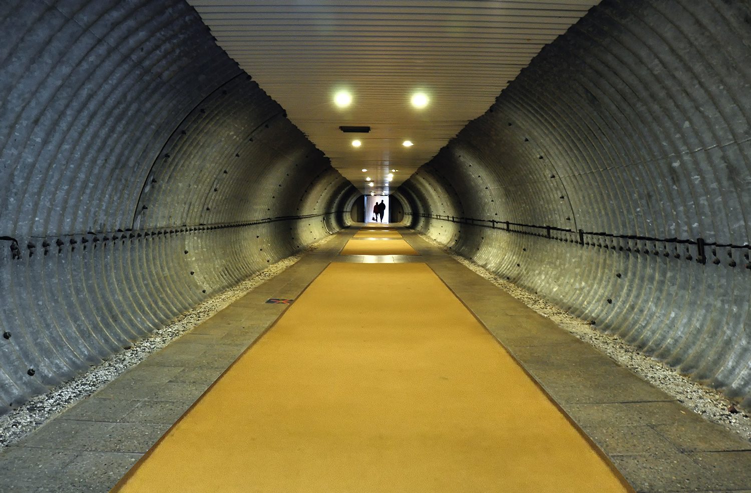 Tunnel_9974rev2.jpg