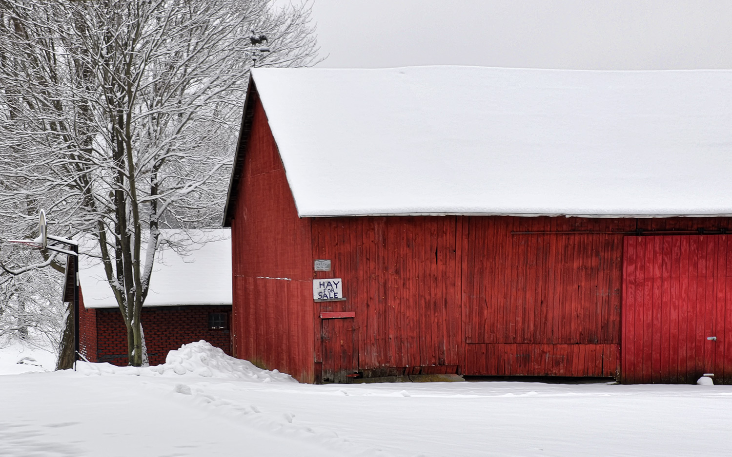 DSC_0126.jpg