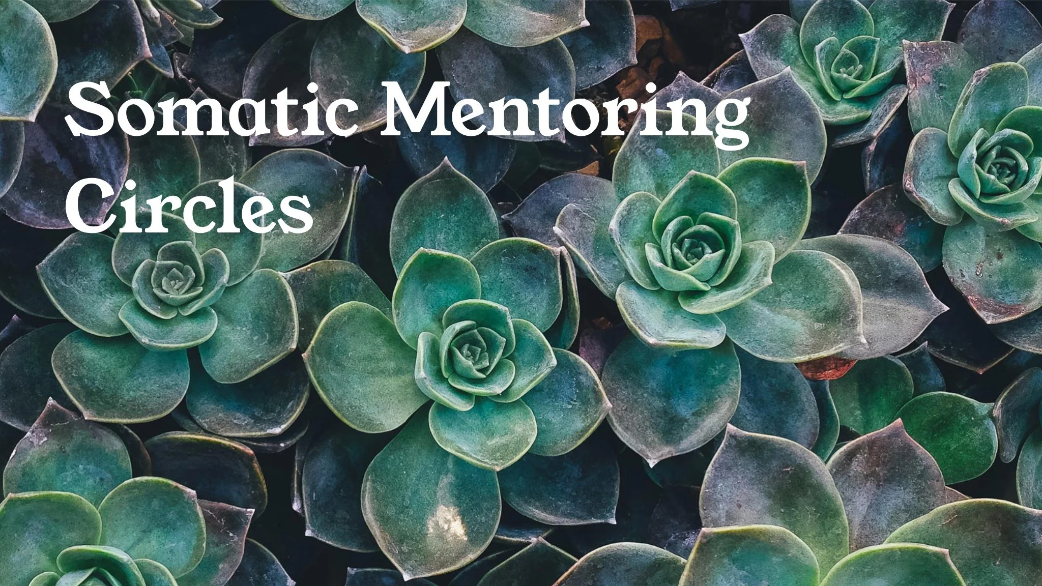 SE Mentoring and Consultation Circle - March/April 2025