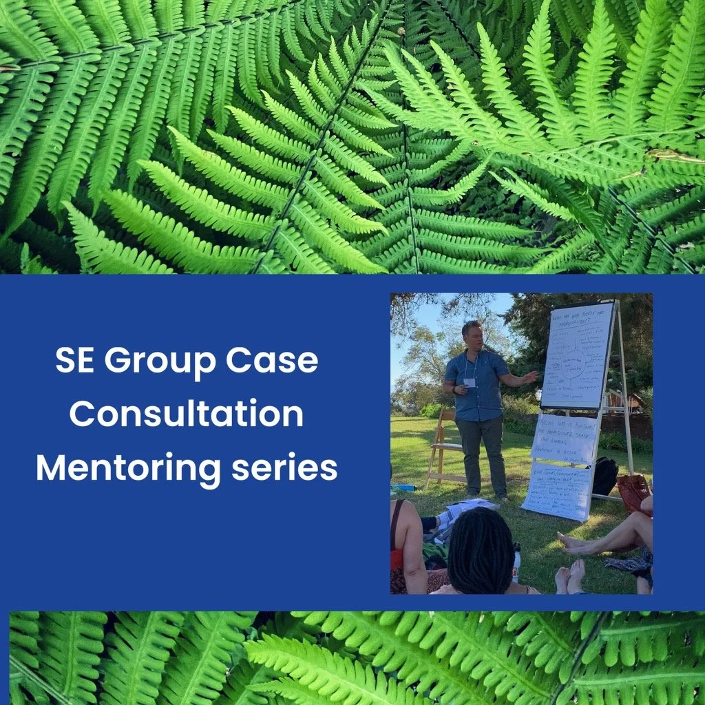 SE Mentoring and Consultation Circle - Sept/Oct 2024