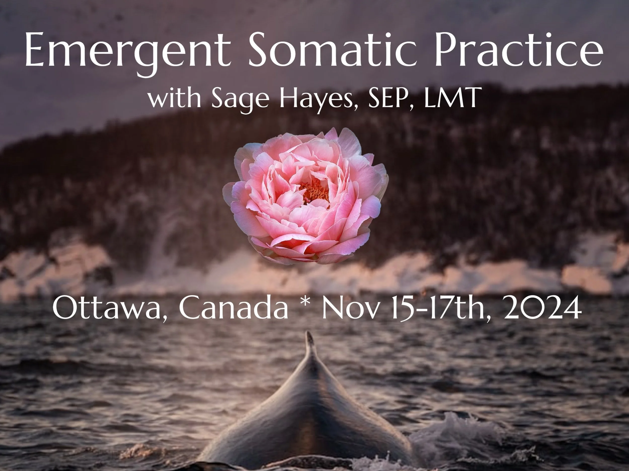 Emergent Somatic Practice`