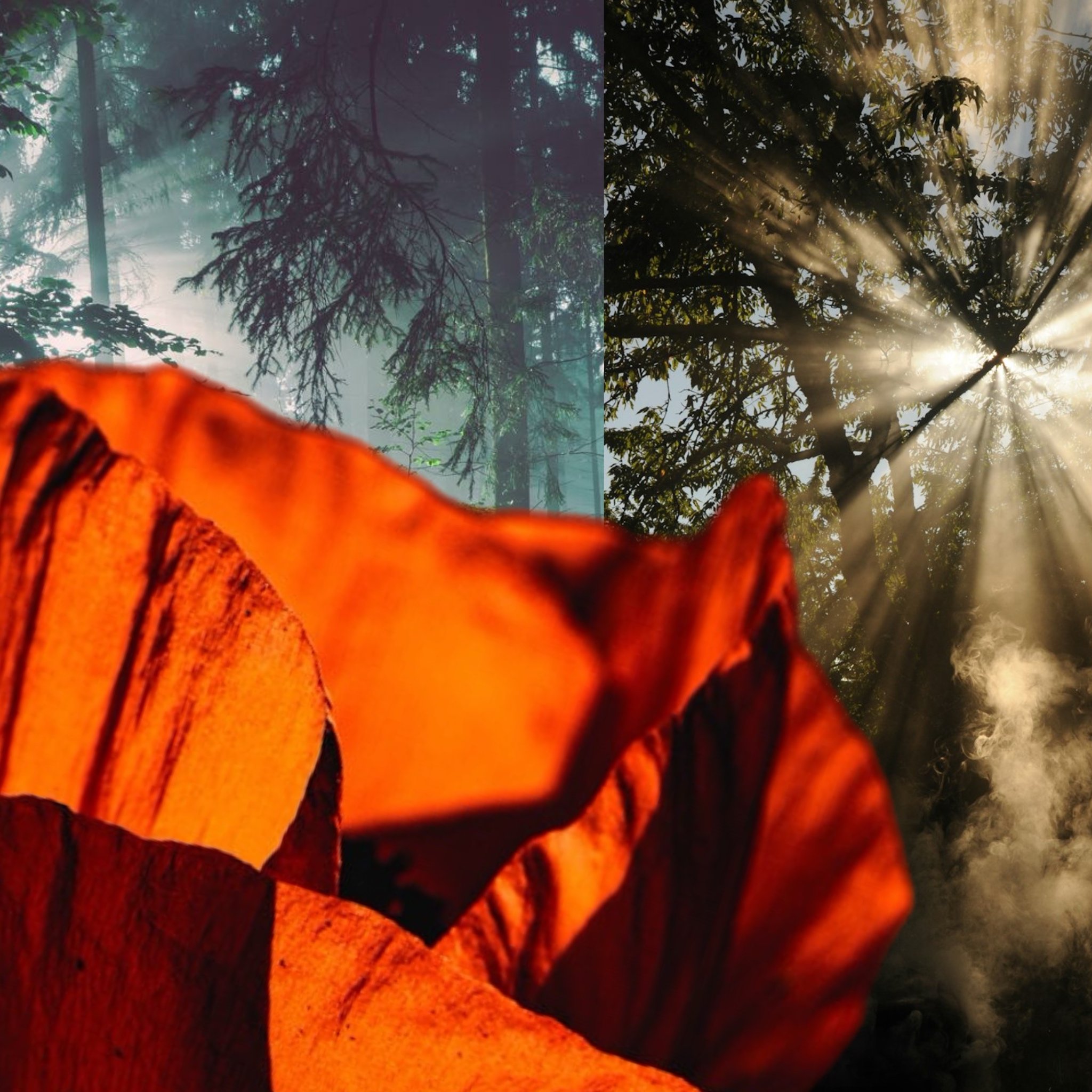 Deepening Restorative and Somatic Touch Practice - Montreal