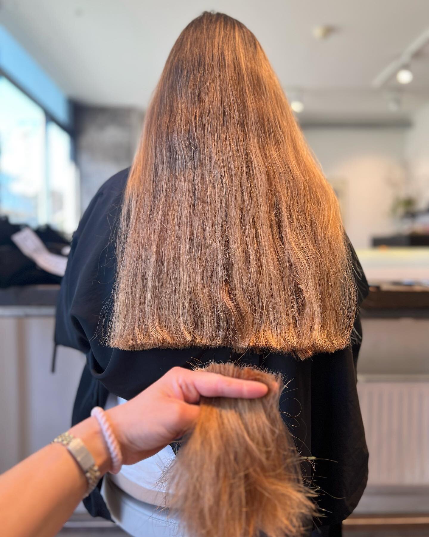 🩷 Afbud p&aring; mandag hos Pernille kl.9.00 - book online p&aring; www.nolia.dk 
&bull;
&bull;
#haircut #longhair #shorthair #menshair #hairtreatment #k18 #k18hair #b3  #b3brazilianbondbuilder #fris&oslash;r #fris&oslash;rcph