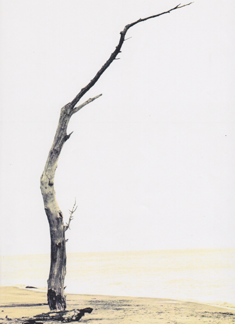 Screen shot 2013-01-16 at 1.18.28 PM.png