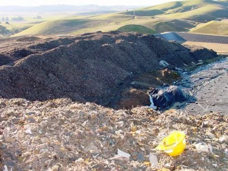 vasco_landfill.jpg