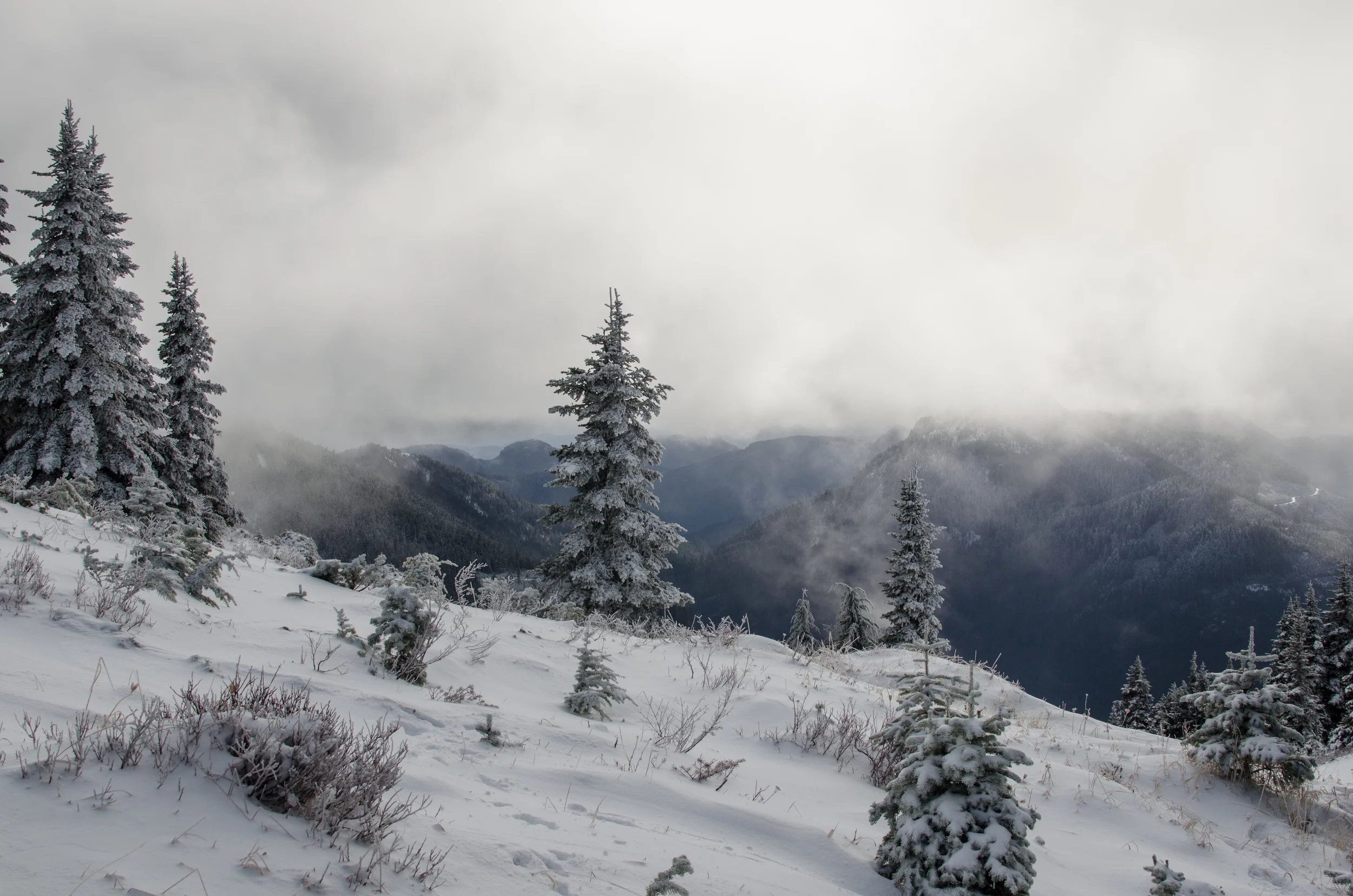 Green Mountain, Vancouver Island