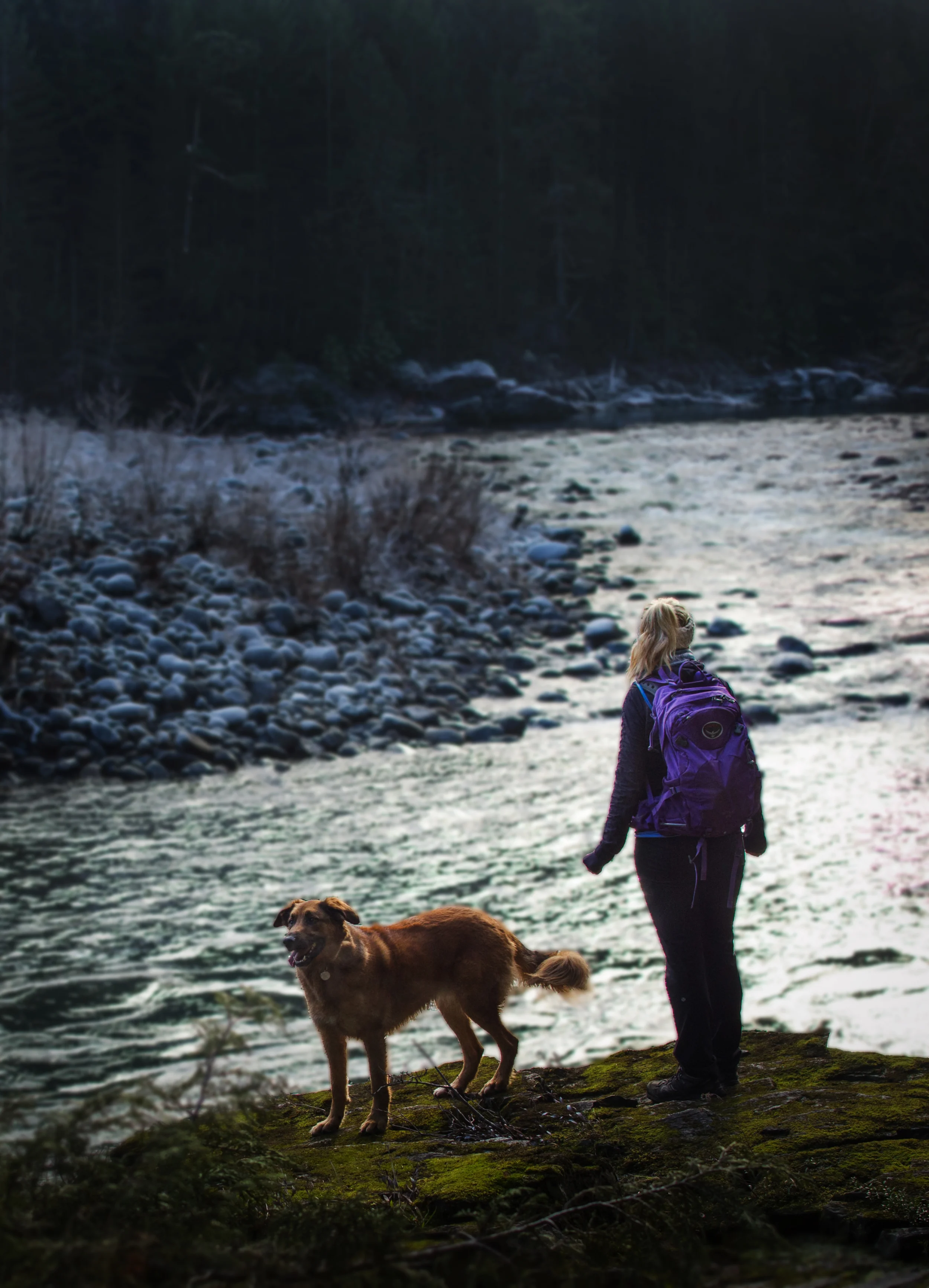 Nanaimo River Canyon Community Park