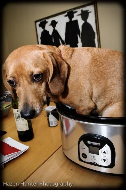 Bobo Photo: Hazen Hunter Photography