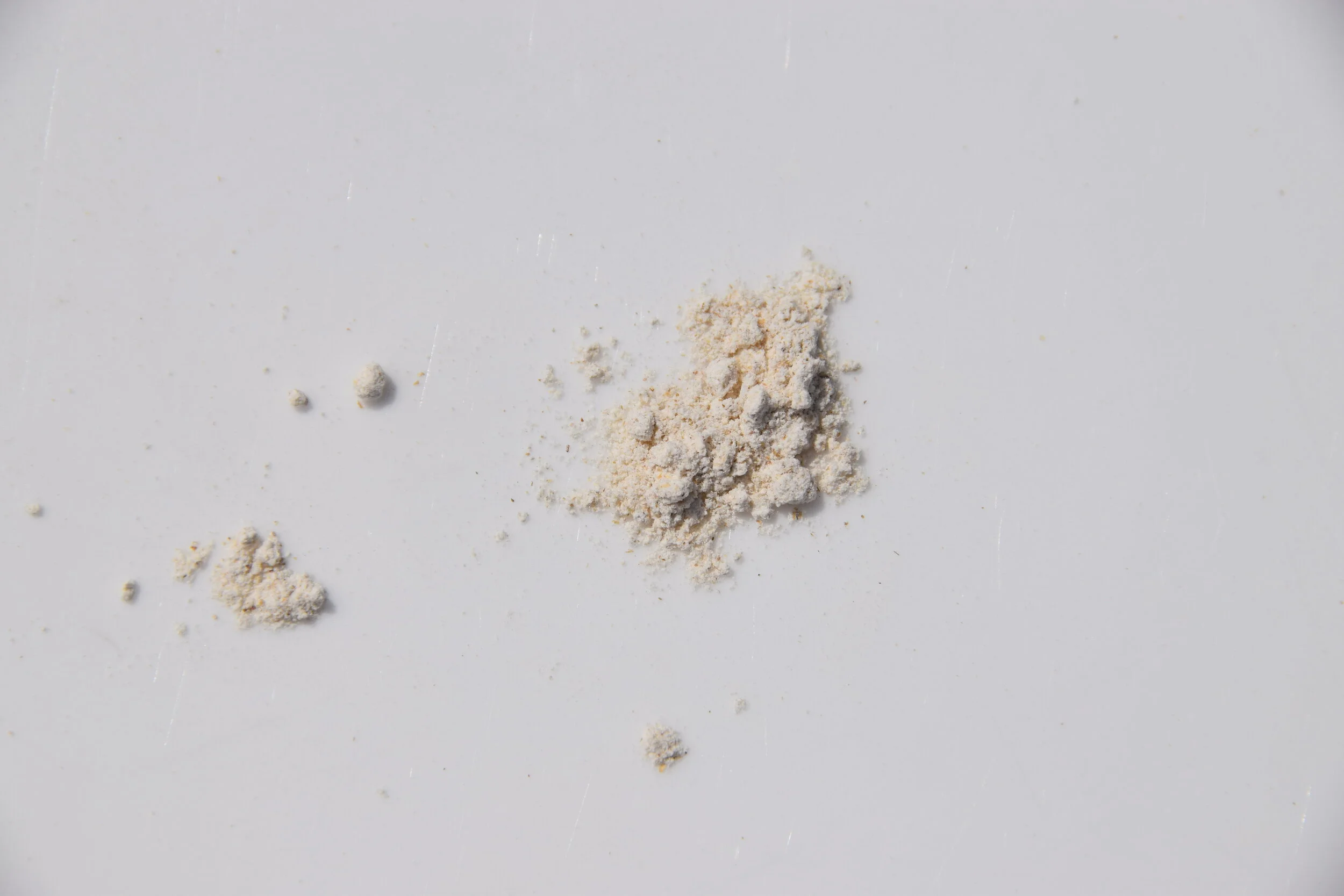 Light Wren's Abruzzi Rye Flour