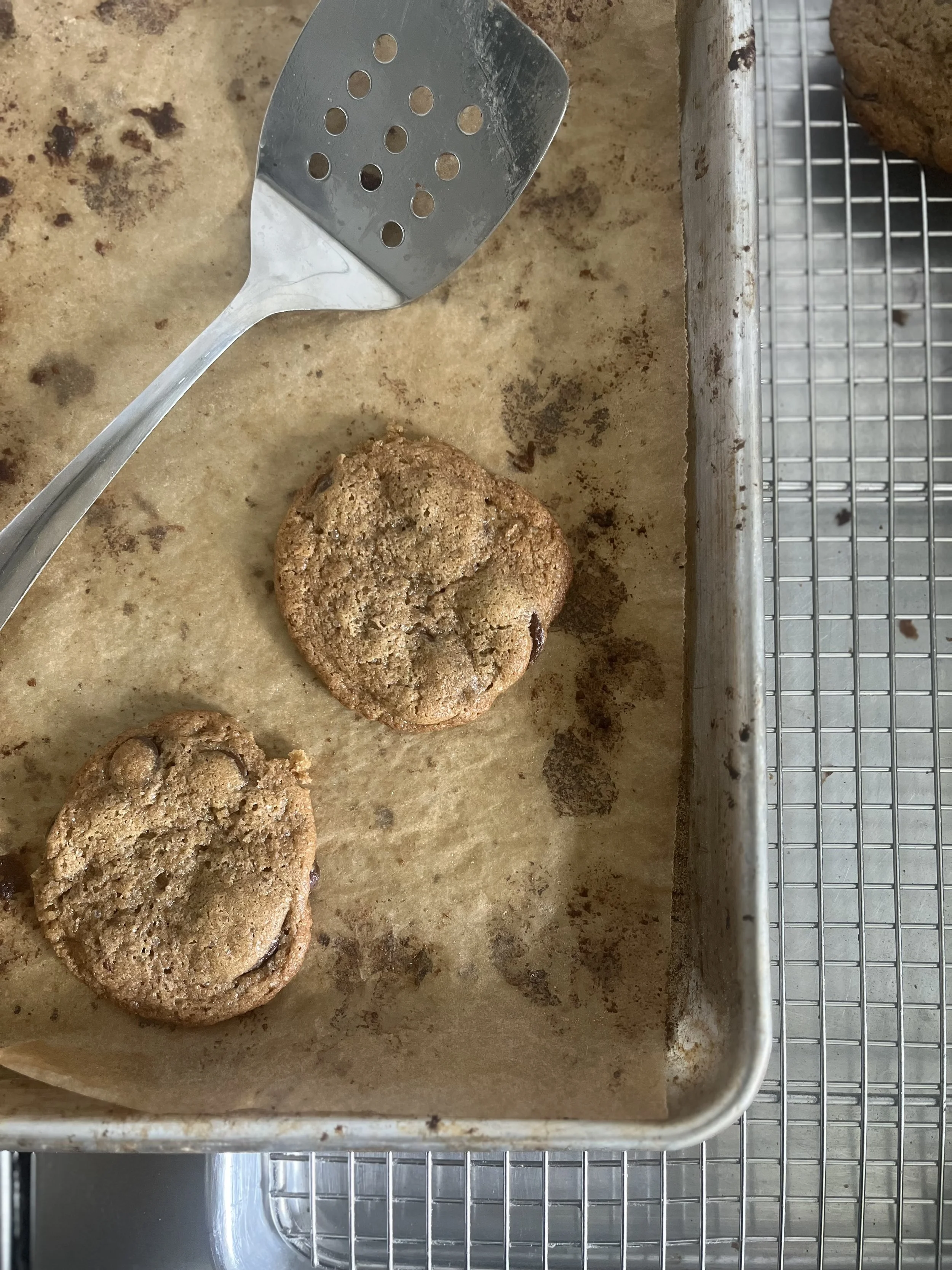 EINKORN SOURDOUGH CHOCOLATE CHIP COOKIES 