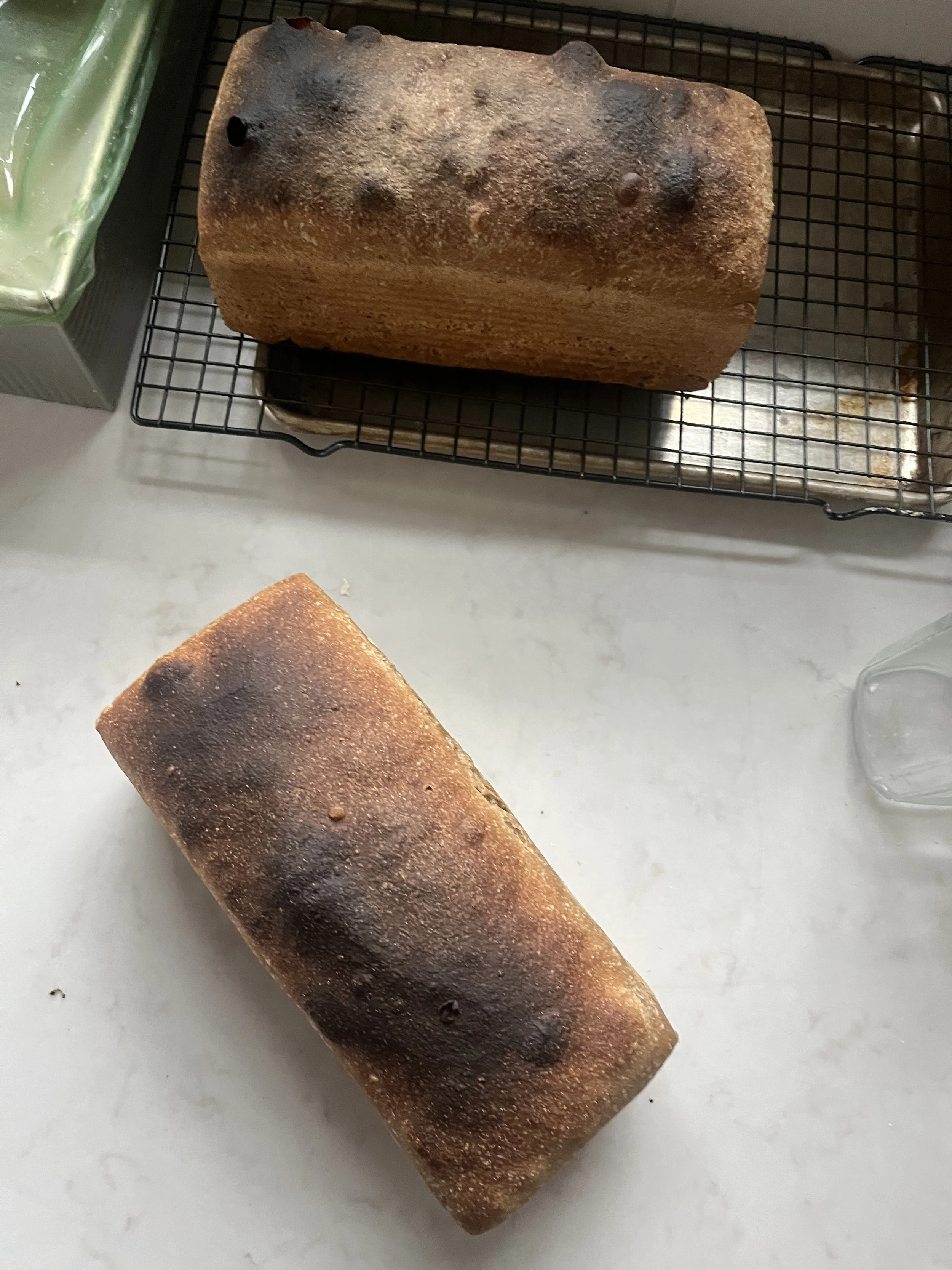 High Extraction Naturally Leavened Sandwich Bread